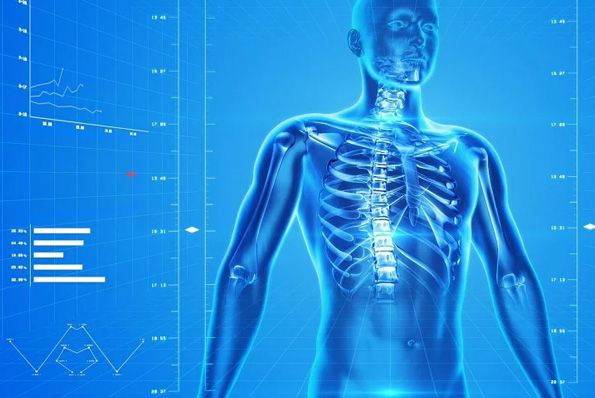 What is "Bone Mineral Content"?